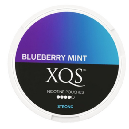 XQS | Blueberry Mint | Nicotine Pouches